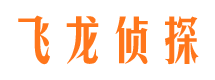 西峡市调查公司